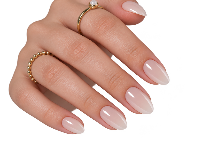 Glossy French EXSIVIA