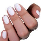 Sage Chrome EXSIVIA