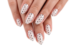 Glossy French EXSIVIA