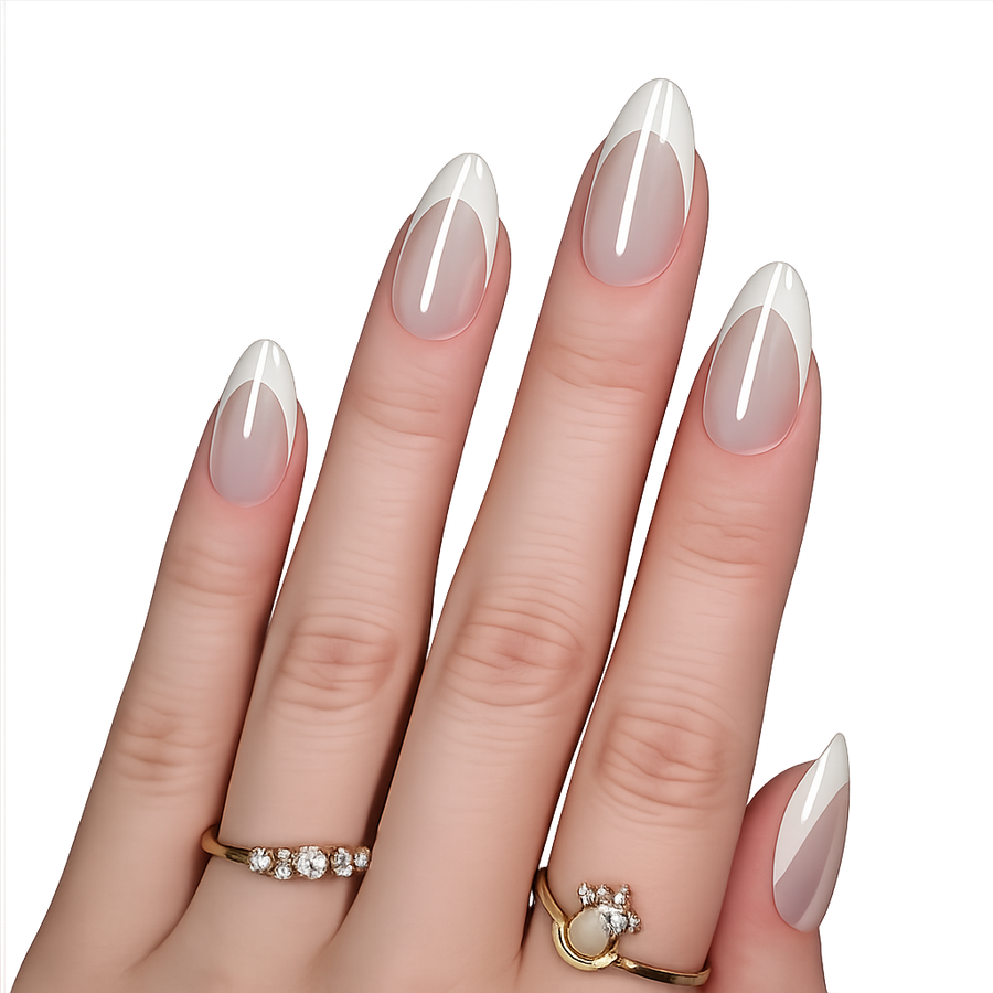 Glossy French EXSIVIA