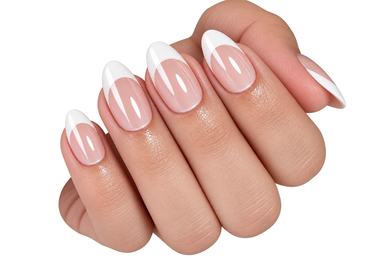 Glossy French EXSIVIA