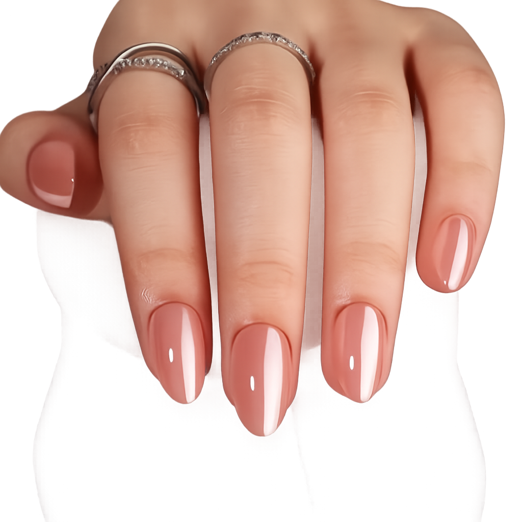 Glossy French EXSIVIA