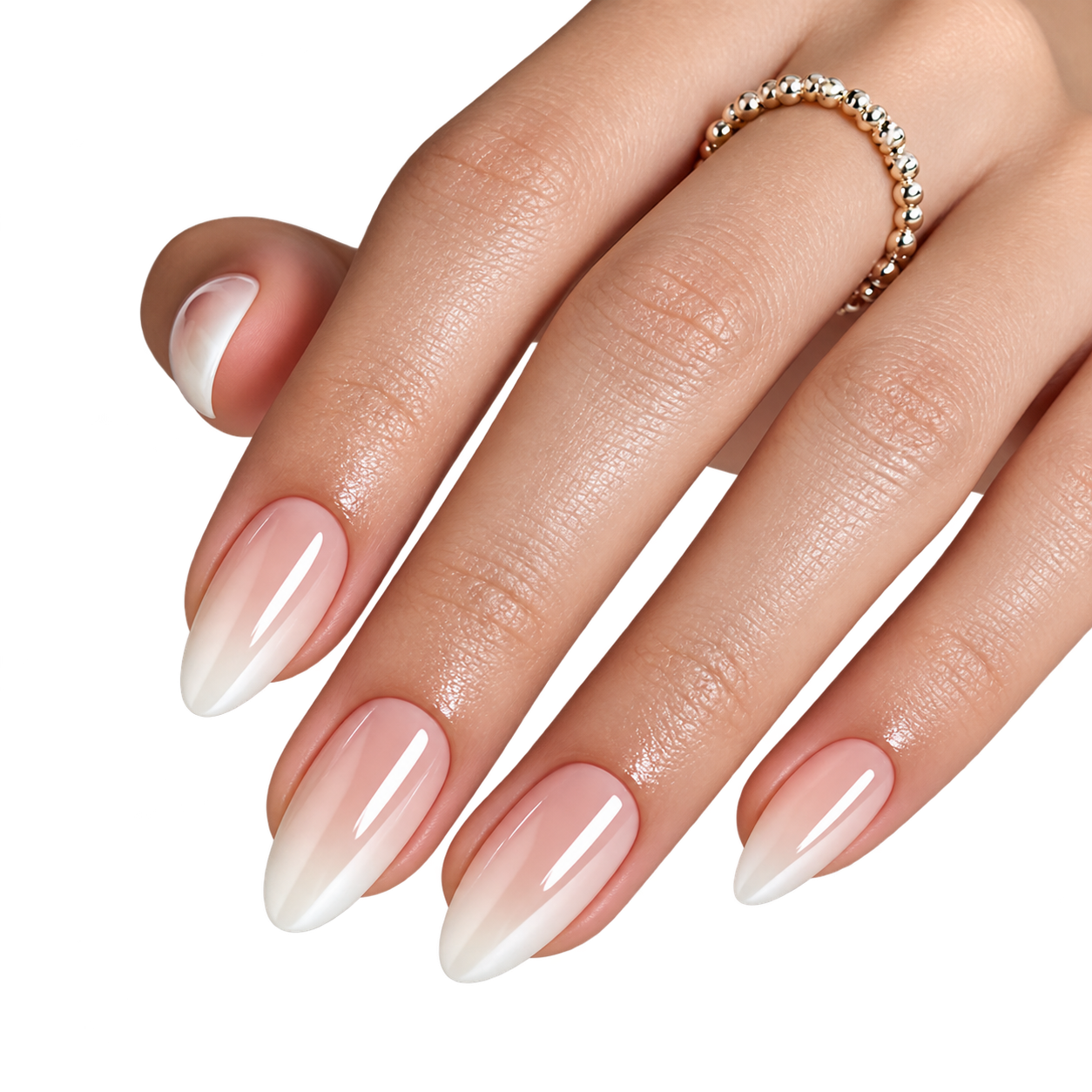 Glossy French EXSIVIA