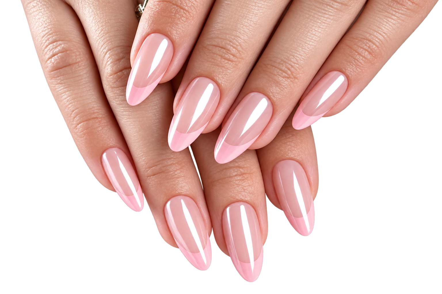Glossy French EXSIVIA