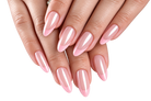 Glossy French EXSIVIA