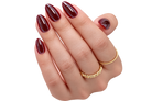 Glossy French EXSIVIA