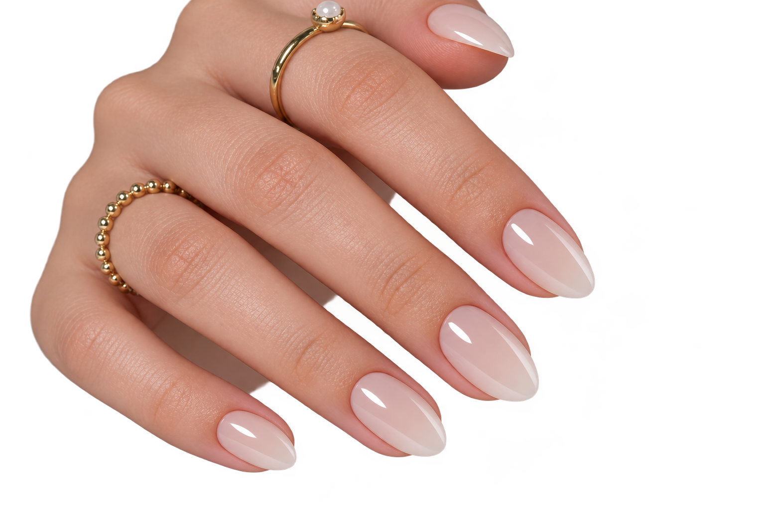 Glossy French EXSIVIA